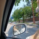 호텔쏠밀키 이미지