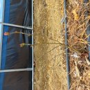 상서농장 이미지