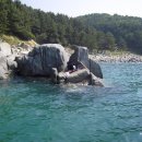 프로낚시 이미지