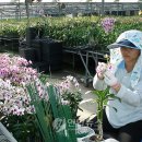 개화영농조합법인 이미지