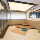 스마일애견미용 이미지