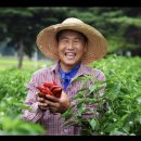 따순농장 네이버블로그