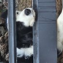 테러리스트 이미지