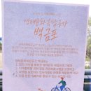 [강진 백금포] 생태문화복합공간 백금포 (흑설탕 스크럽 만들기)