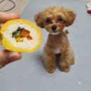 금동네 사랑방 네이버블로그