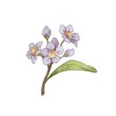 stay봄날 이미지