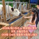 볼스토리 | 마이애니멀스토리 in 평강랜드 후기 | 포천 가볼만한곳 아이랑 다녀온 동물원 식물원 나들이