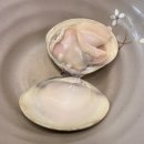 동도엔터프라이즈칼국수한그릇 | 우이며녹 백합 칼국수 본점 솔직 후기 (송도 칼국수)