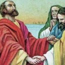 (주) 바울글로벌 이미지