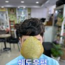 홍동미용실