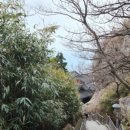 읍내스테이 이미지