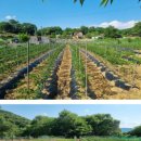 죽산게임장 네이버블로그