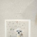 아뜰리에멍 이미지