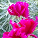 진천공예사업협동조합 이미지