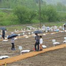 내동면시민텃밭 이미지