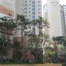 분당내곡간도로 이미지