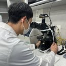 사상동물병원 | 부산 사상구 동물병원 강아지 구토와 설사, 단순 장염이 아닐 수 있습니다.