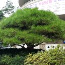 고강본동 주민센터 이미지