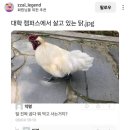 아구찜참잘하는집 이미지