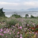 병풍도보건진료소 이미지