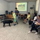 하서초등학교 이미지