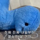 크로스핏 지구 이미지