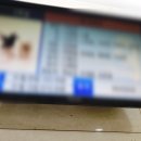 춘천상조 이미지