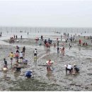 유동어촌체험마을 이미지