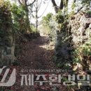 생1리 이미지