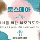 룩스메아