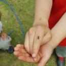 백문초등학교(병설) 이미지