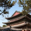 중문오렌지파크 이미지