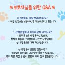 쉬다가개 애견호텔유치원 이미지