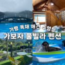 라온제나풀빌라펜션 | 가평 수영장 애견동반 숙소 추천 가보자 독채 풀빌라 펜션 솔직후기