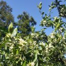 미성민박 이미지