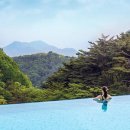 포레스트 리솜 이미지