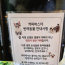 모켄뮤지엄카페 이미지