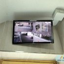 탄벌동-5 이미지