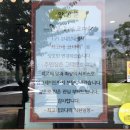 최고네코다리 이미지