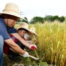 소로리영농조합법인 이미지