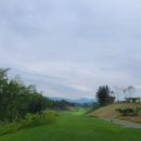 영동 일라이트CC 이미지