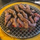 신마포갈매기 이미지