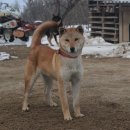 김종덕농장 이미지