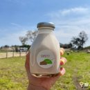 아담목장 이미지