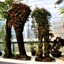 이안숲속야영장 이미지