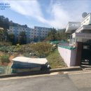 능포초등학교 병설유치원 이미지