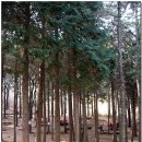 꽃마을 약수터 이미지