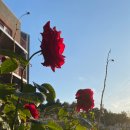 인스턴트 호텔 이미지