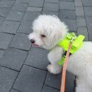 백두동물병원 이미지