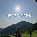 계양산에너네집 | 등린이의 계양산 정상 등반(feat 계단산)